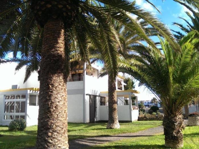 El Drago Apartment Fiber ,A/C,Near Ocean Costa Del Silencio Exterior foto